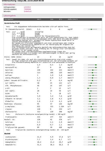 Spooky Phase mit 4 Jahren?-Beitrag-Bild