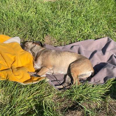 Decke für die Terrasse-Beitrag-Bild