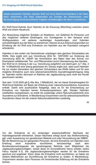 Wolfsbegegnung-Beitrag-Bild