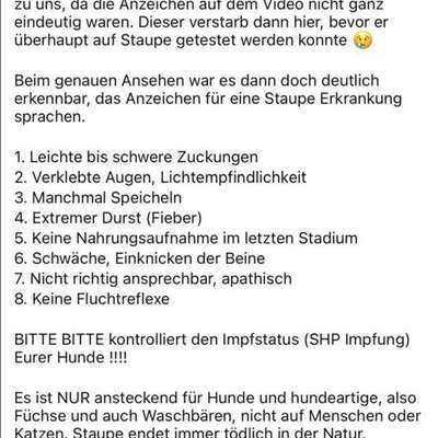 Impfreaktionen/schwere Impfschäden bei Hunden.-Beitrag-Bild