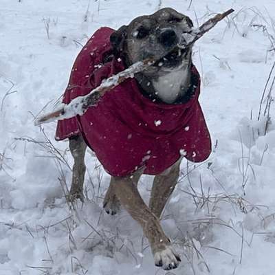 Welche Mäntel empfehlt ihr?-Beitrag-Bild