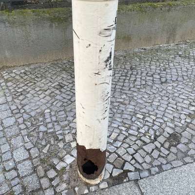 🌳 Hundepipi wegspülen – sinnvolle Idee oder übertriebener Aufwand?-Beitrag-Bild