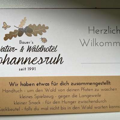 Mecklenburgische Seenplatte-Beitrag-Bild