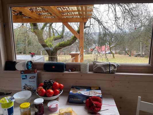 TierschutzhundeStammtisch🐕-Beitrag-Bild