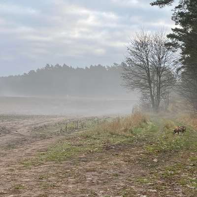 "Wege zur Freundschaft" (Ulli Reichmann)-Beitrag-Bild