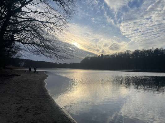 TierschutzhundeStammtisch🐕-Beitrag-Bild