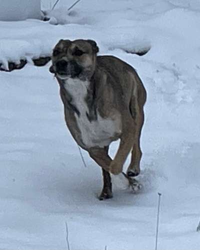 FOTO CHALLENGE Thema ,,durchdrehen"-Beitrag-Bild