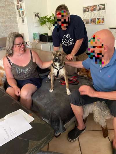 TierschutzhundeStammtisch🐕-Beitrag-Bild