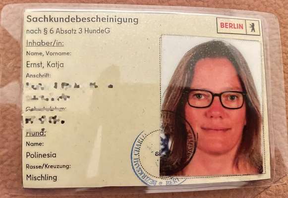 TierschutzhundeStammtisch🐕-Beitrag-Bild