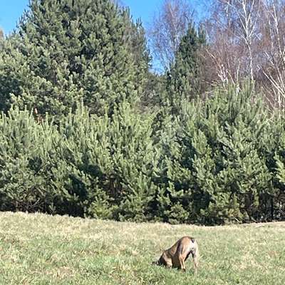 Was hat euch heute gefreut?-Beitrag-Bild