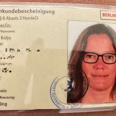 Der Fall "Sam" - Angriff oder missglückter Rettungsversuch?-Beitrag-Bild