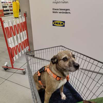 Was hat euch heute gefreut?-Beitrag-Bild