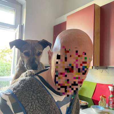 Was hat euch heute gefreut?-Beitrag-Bild