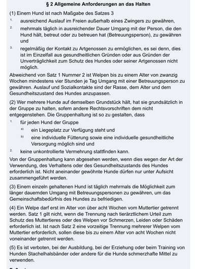 Wesensveränderung, Tierärztliche Untersuchung-Beitrag-Bild