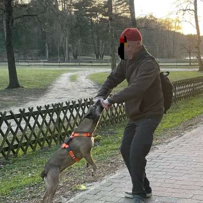 "Wege zur Freundschaft" (Ulli Reichmann)-Beitrag-Bild
