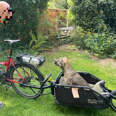 Radreise mit Hund(-en)-Beitrag-Bild