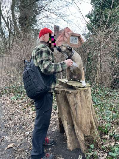 TierschutzhundeStammtisch🐕-Beitrag-Bild
