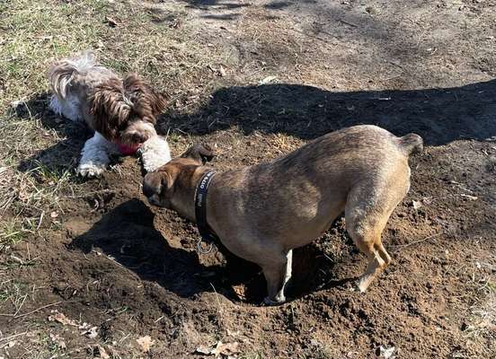 Was hat euch heute gefreut?-Beitrag-Bild