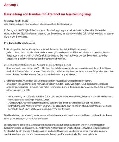 Qualzucht - Warum Aufklärung alleine nicht reicht-Beitrag-Bild