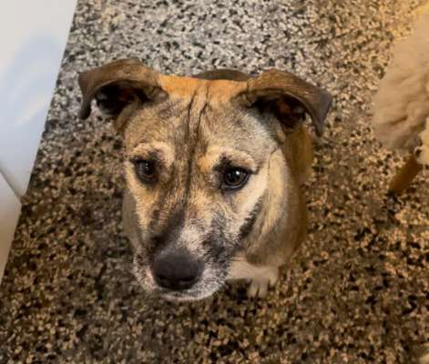 147. Foto Challenge: Bettelblick-Beitrag-Bild