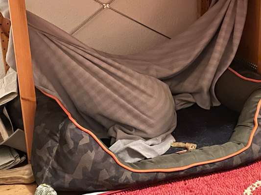 Schlafplatz im Winter-Beitrag-Bild