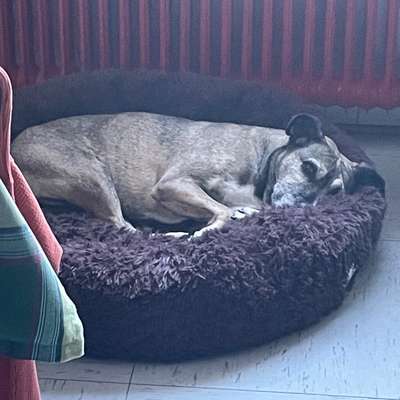 Was hat euch heute gefreut?-Beitrag-Bild