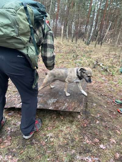 Was hat euch heute gefreut?-Beitrag-Bild