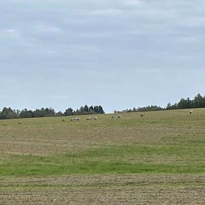"Wege zur Freundschaft" (Ulli Reichmann)-Beitrag-Bild