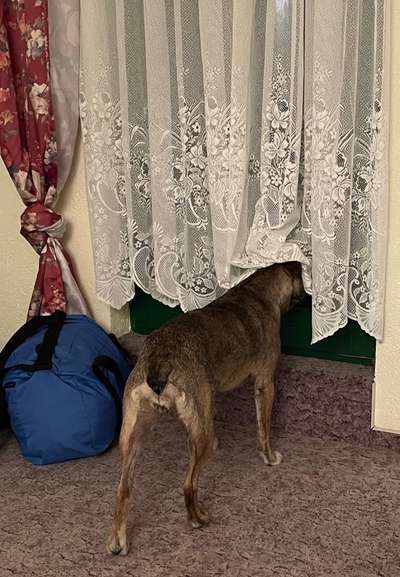 120. Fotochallenge-Beitrag-Bild