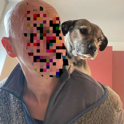 Was hat euch heute gefreut?-Beitrag-Bild