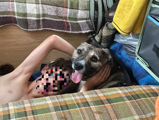 TierschutzhundeStammtisch🐕-Beitrag-Bild