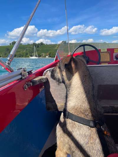 149. Foto Challenge: Wer ist hier der Boss!-Beitrag-Bild