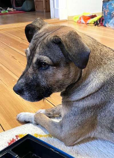 Außergewöhnliche Merkmale-Beitrag-Bild