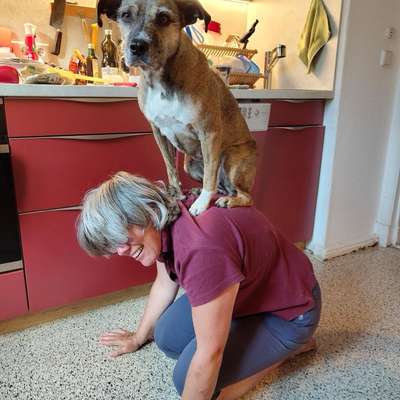 Gangbild/-analyse-Beitrag-Bild