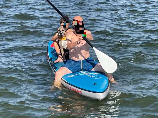 Was hat euch heute gefreut?-Beitrag-Bild