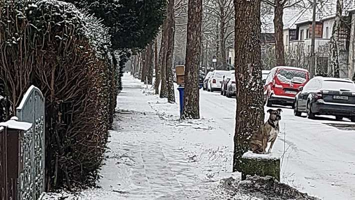 Was hat euch heute gefreut?-Beitrag-Bild