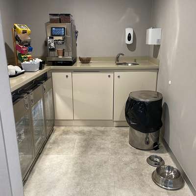 Mit Hund nach Irland?-Beitrag-Bild