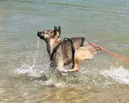 Lustigsten Bilder-Beitrag-Bild