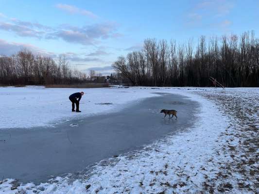 TierschutzhundeStammtisch🐕-Beitrag-Bild