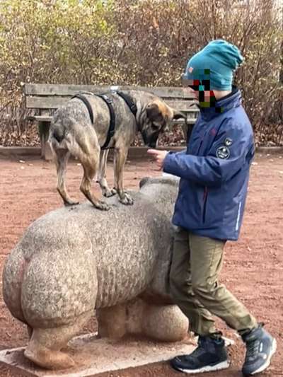 TierschutzhundeStammtisch🐕-Beitrag-Bild