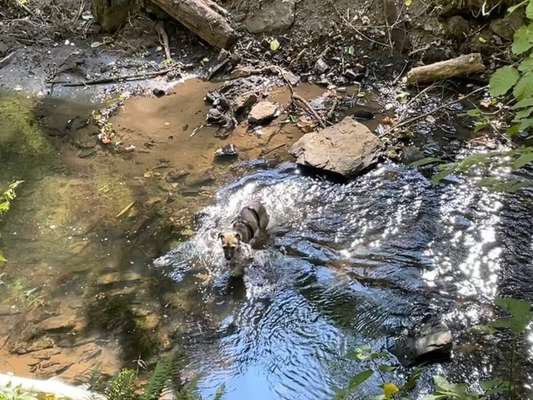 Mit mach Challenge :-Beitrag-Bild