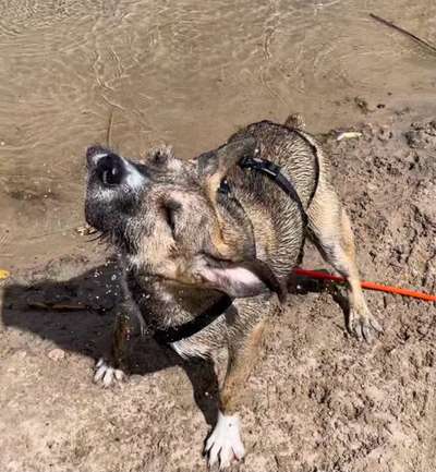 Foto Challenge Nr.133-Beitrag-Bild