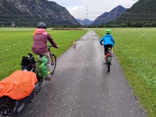 TierschutzhundeStammtisch🐕-Beitrag-Bild