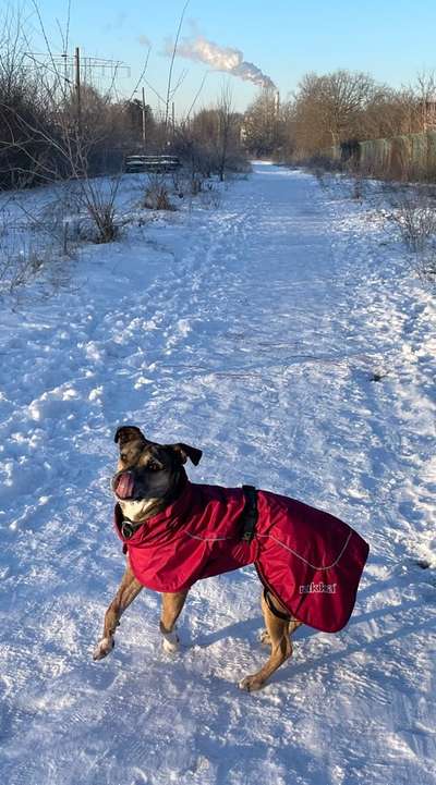 Anpassen bei Minusgraden-Beitrag-Bild