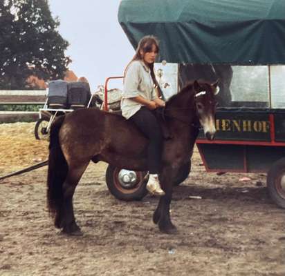 TierschutzhundeStammtisch🐕-Beitrag-Bild