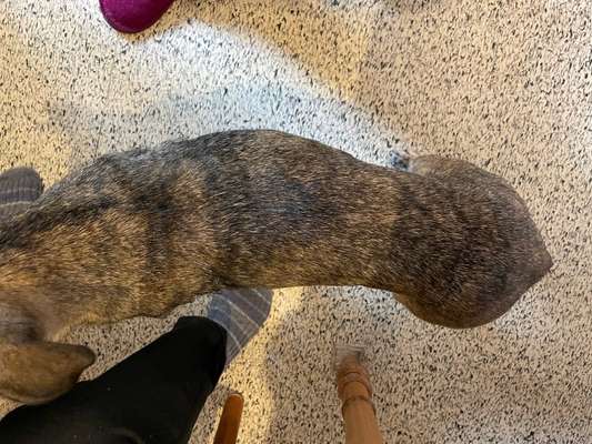 Der Gewichts-Thread-Beitrag-Bild