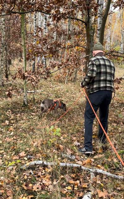 TierschutzhundeStammtisch🐕-Beitrag-Bild