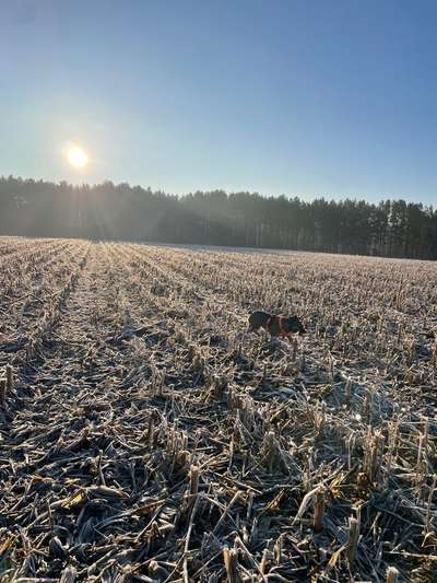 Was hat euch heute gefreut?-Beitrag-Bild