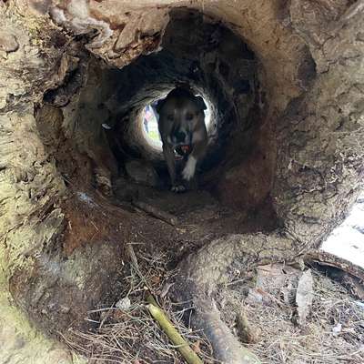 "Wege zur Freundschaft" (Ulli Reichmann)-Beitrag-Bild