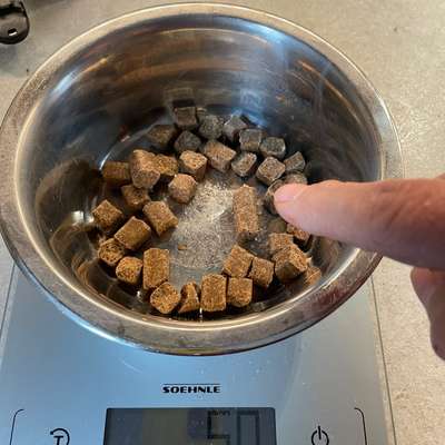 Wie optimal ist das Körpergewicht meines Hundes?-Beitrag-Bild